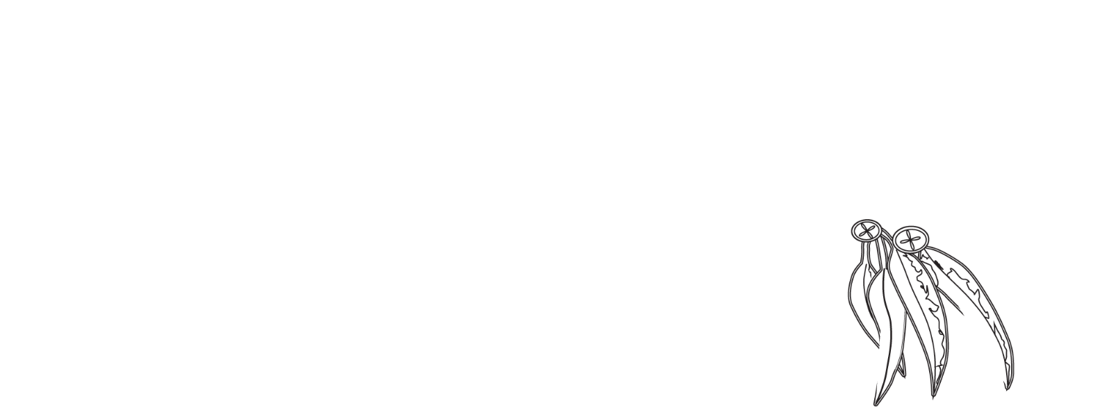 Sawdust Art Festival logo with eucalyptus leaves